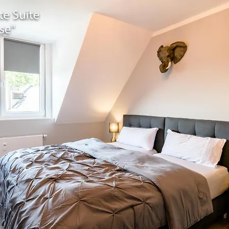 Apartment Downtown Bilk *